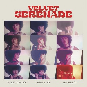 'Velvet Serenade'の画像