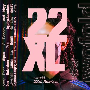 Image for '22XL Remixes'