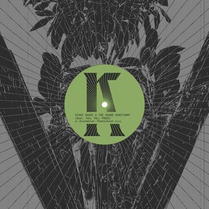 'Kishi Bashi & Tall Tall Trees & The Sound Sanctuary' için resim