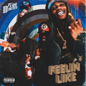 Image for 'Feelin Like'