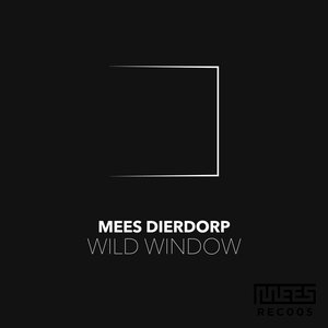 Image for 'Wild Window'