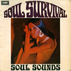 Image for 'soul sounds'