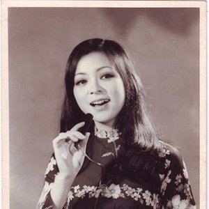 Image for 'Ái Vân'