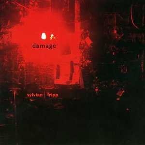 “Damage”的封面