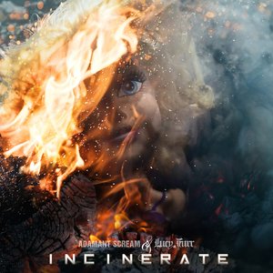 Image for 'Incinerate'