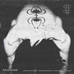 Image for 'lotus flower'