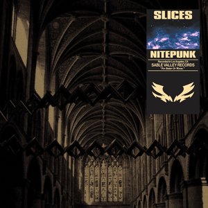 “Slices”的封面