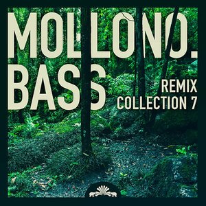 Imagem de 'Mollono.Bass Remix Collection 7'