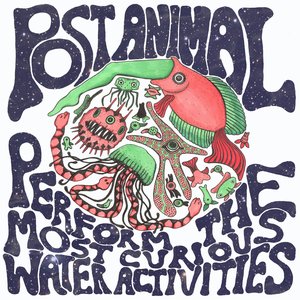 Изображение для 'Post Animal Perform the Most Curious Water Activities'
