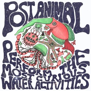 Imagen de 'Post Animal Perform the Most Curious Water Activities'