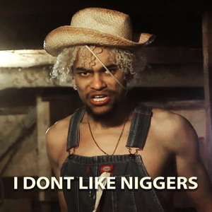 'I don't like niggers'の画像