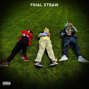 Image for 'FINAL STRAW'