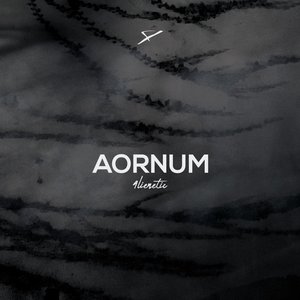 “Aornum”的封面