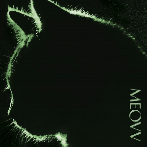 Image for 'TOXIC'