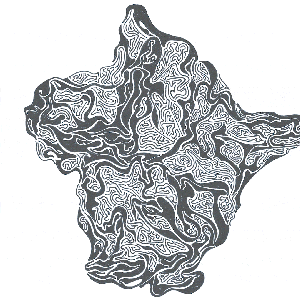 hetereomunculus