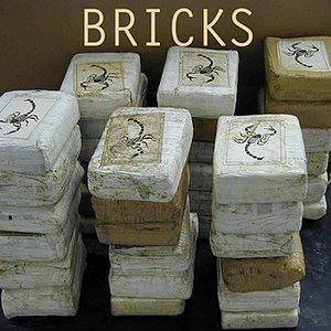 Image for 'Bricks'