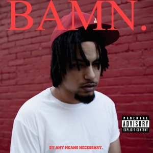 Image for 'BAMN.'