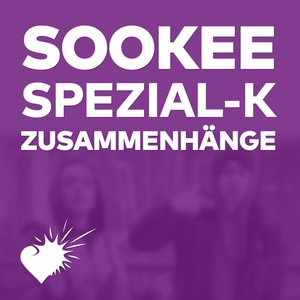 'Zusammenhänge' için resim