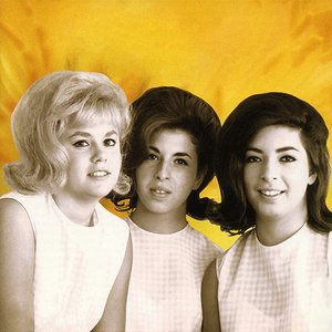 “The Honeys”的封面