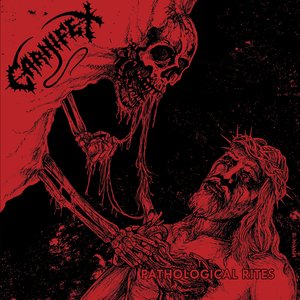 Immagine per 'Pathological Rites'