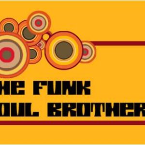 “The Funk Soul Brothers”的封面