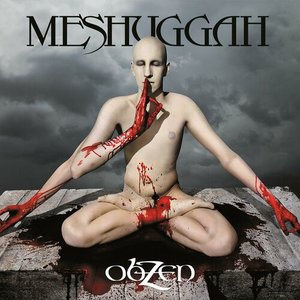 Изображение для 'ObZen (15th Anniversary Remastered Edition)'