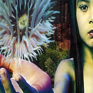 Изображение для 'Lifeforms'