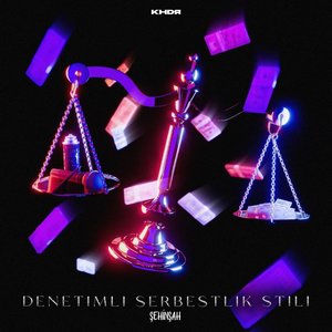 “Denetimli Serbestlik Stili (Deluxe)”的封面