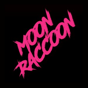 Image for 'Moonraccoon'