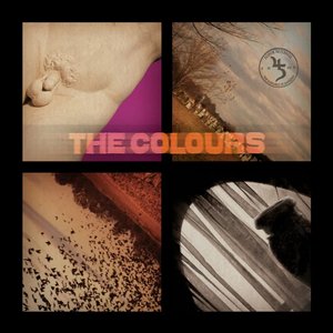 Image for 'The Colours'