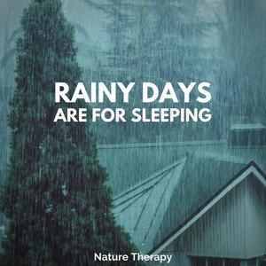 “Rainy Days Are for Sleeping”的封面