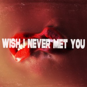 Image for 'Wish I Never Met You'