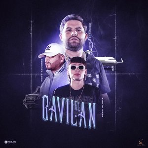 Image for 'El Gavilán'