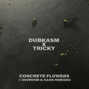 Image for 'Concrete Flowers'
