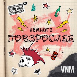 “Немного Повзрослее”的封面