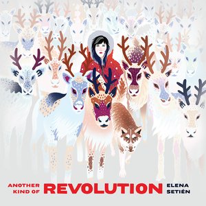 Image for 'Another Kind Of Revolution'