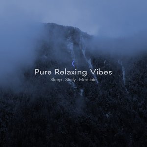 Image for 'Pure Relaxing Vibes'