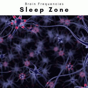 Image for 'Sleep Zone'