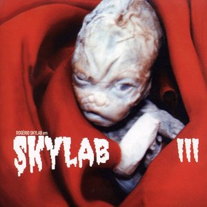 Image for 'Skylab III'