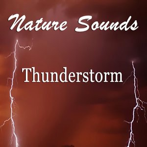 Image for 'Thunderstorm'