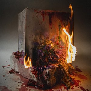 Image for 'Berhati'