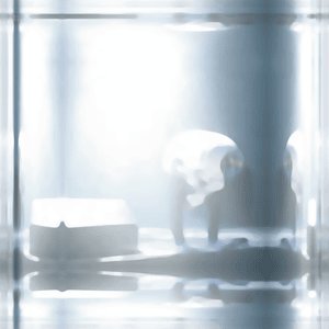 Image for 'valetical'