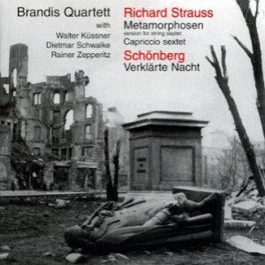 Image for 'Straus'
