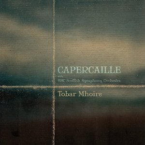 Image for 'Tobar Mhoire (Orchestral)'