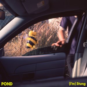 Image for '(I'm) Stung'