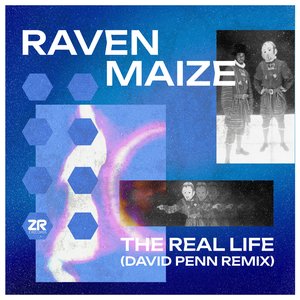 'The Real Life (David Penn Remix)' için resim