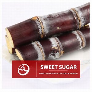 “Sweet Sugar”的封面