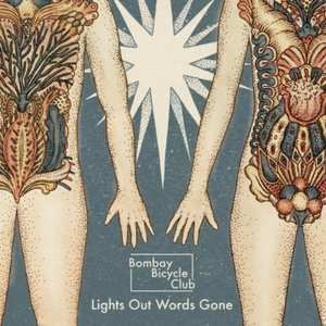 Immagine per 'Lights Out, Words Gone'