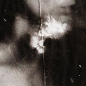 “Holding Absence (Deluxe Version)”的封面