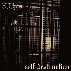 “self destruction”的封面